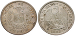 13480 Republik, Peso