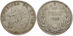 13486 Republik, Peso