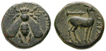 13504 Bronze