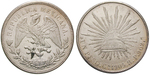 13972 Republik, Peso