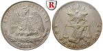 13973 Republik, Peso