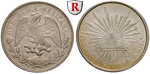 14109 Republik, Peso