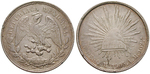 14222 Republik, Peso