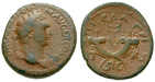 20217 Domitianus, Semis