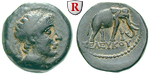 31982 Seleukos II., Bronze