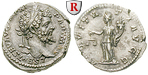 36606 Septimius Severus, Denar