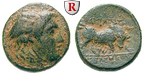 39553 Seleukos I., Bronze