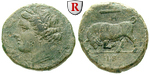 39556 Hieron II., Bronze