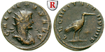 49036 Gallienus, Antoninian