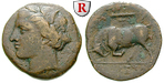 50598 Hieron II., Bronze
