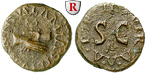 51894 Augustus, Quadrans