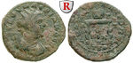 56402 Valerianus I., Triassarion