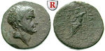 56558 Tarkondimotos I., Bronze