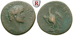 56836 Antoninus Pius, Bronze