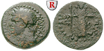 56941 Domitianus, Bronze