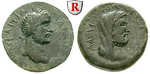56977 Antoninus Pius, Bronze