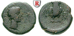 61249 Augustus, Bronze