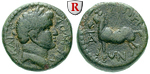 64504 Domitianus, Bronze