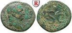 64855 Vespasianus, Bronze