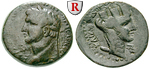 64967 Domitianus, Bronze