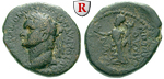 64969 Domitianus, Bronze