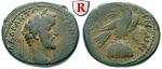 66528 Antoninus Pius, Bronze