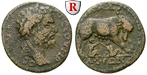 66605 Septimius Severus, Bronze