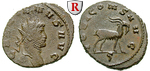 76705 Gallienus, Antoninian
