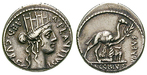 79615 A. Plautius, Denar