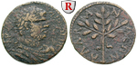 80309 Caracalla, Bronze