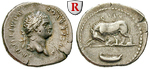 91301 Domitianus, Caesar, Denar