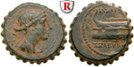 egri8052 Seleukos IV., Bronze