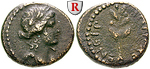 erom10692 Nero, Bronze