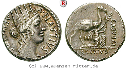 Klicken Sie auf das Bild um es auf Ihrem Rechner zu speichern a-plautius-denar/18496.jpg