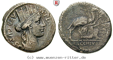 Klicken Sie auf das Bild um es auf Ihrem Rechner zu speichern a-plautius-denar/48593.jpg