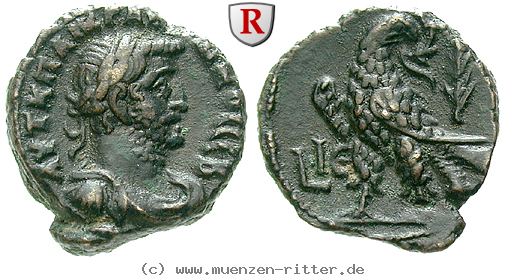 aegypten-gallienus-tetradrachme/37486.jpg