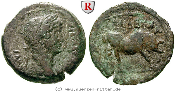 Klicken Sie auf das Bild um es auf Ihrem Rechner zu speichern aegypten-hadrianus-diobol/57666.jpg