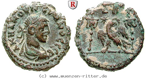 Klicken Sie auf das Bild um es auf Ihrem Rechner zu speichern aegypten-numerianus-tetradrachme/64044.jpg