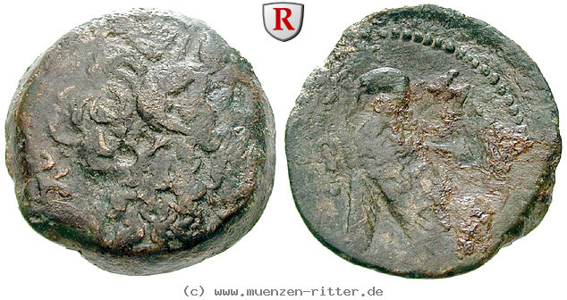 aegypten-ptolemaios-vi-bronze/40611.jpg