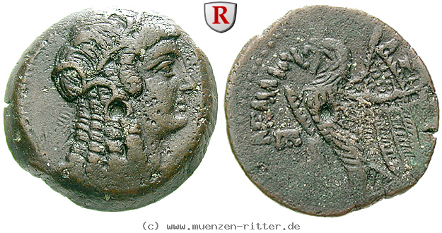 Klicken Sie auf das Bild um es auf Ihrem Rechner zu speichern aegypten-ptolemaios-vi-bronze/49401.jpg