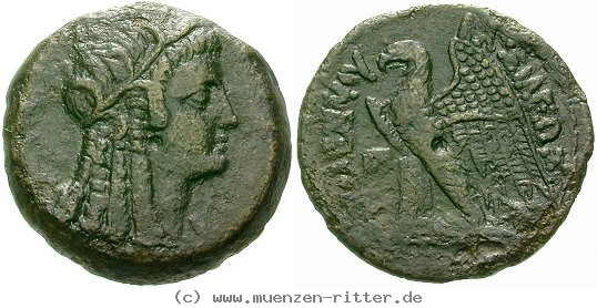 aegypten-ptolemaios-vi-bronze/egri7580.jpg