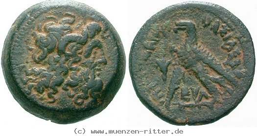 aegypten-ptolemaios-vi-bronze/egri9549.jpg