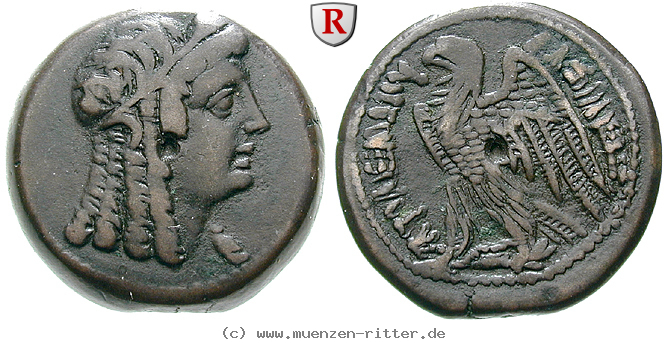 Klicken Sie auf das Bild um es auf Ihrem Rechner zu speichern aegypten-ptolemaios-vi-und-kleopatra-i-bronze/93487.jpg