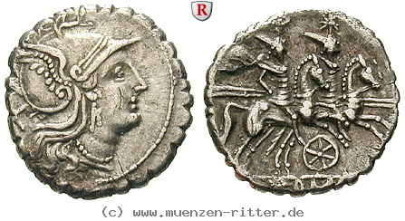 Klicken Sie auf das Bild um es auf Ihrem Rechner zu speichern anonym-denar-serratus/53651.jpg