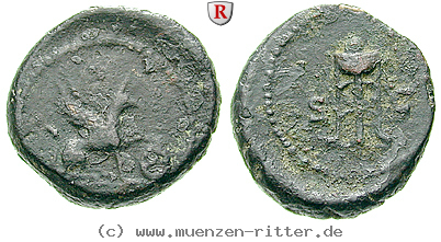 Klicken Sie auf das Bild um es auf Ihrem Rechner zu speichern anonyme-ausgaben-domitian-bis-antoninus-pius-quadrans/erom5656.jpg