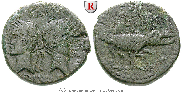 Klicken Sie auf das Bild um es auf Ihrem Rechner zu speichern augustus-as/51888.jpg
