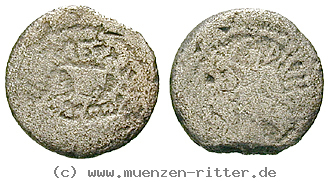 Klicken Sie auf das Bild um es auf Ihrem Rechner zu speichern augustus-quinar/erom5621.jpg