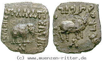 Klicken Sie auf das Bild um es auf Ihrem Rechner zu speichern baktrien-und-indien-apollodotos-i-hemidrachme/47752.jpg