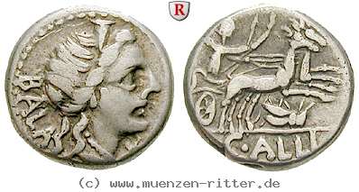 c-allius-bala-denar/erom5900.jpg