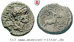 Klicken Sie auf das Bild um es auf Ihrem Rechner zu speichern c-antius-restio-quinar/erom5892.jpg